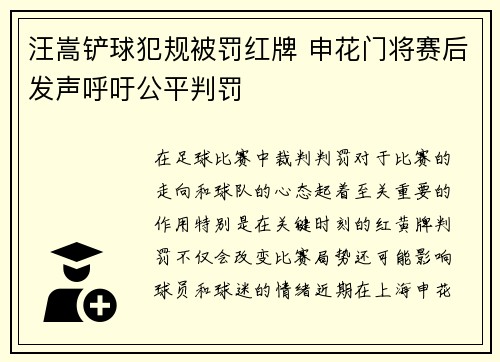 汪嵩铲球犯规被罚红牌 申花门将赛后发声呼吁公平判罚