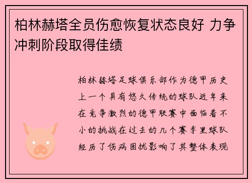 柏林赫塔全员伤愈恢复状态良好 力争冲刺阶段取得佳绩