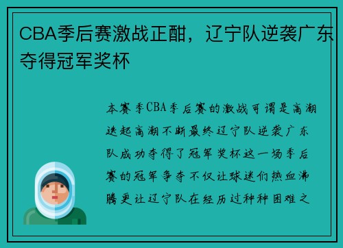 CBA季后赛激战正酣，辽宁队逆袭广东夺得冠军奖杯